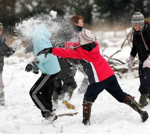 Snowball fights fun in Richmond Park as the cold weather takes grip in London